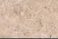 Jerusalem Grey Limestone.jpg